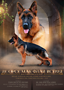 ДЕ ОРСЕ МАК ФЛАЙ ИСТВУД